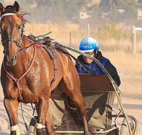Ballarat  District Trotting Club - Melbourne Tourism