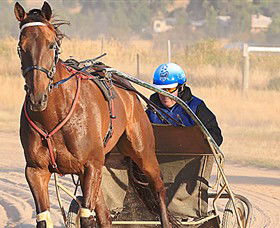 Ballarat & District Trotting Club - Melbourne Tourism 0