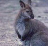 Churchill National Park - Melbourne Tourism