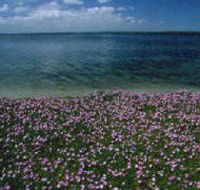 The Lakes National Park - Melbourne Tourism