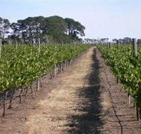 Mount Beckworth Wines - Melbourne Tourism