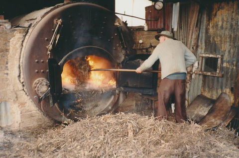 Eucalyptus Distillery Museum - Melbourne Tourism 2