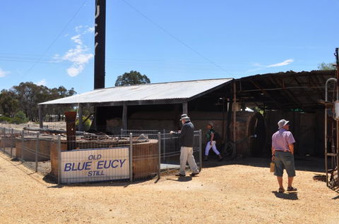 Eucalyptus Distillery Museum - Melbourne Tourism 3