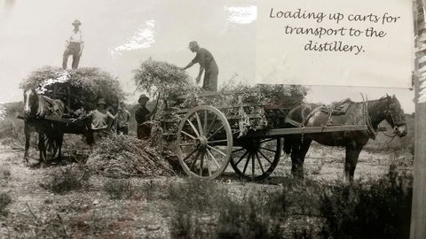 Eucalyptus Distillery Museum - Melbourne Tourism 4