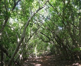 Durras North NSW Melbourne Tourism