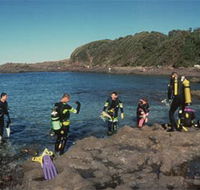 Bushrangers Bay Aquatic Reserve - Melbourne Tourism