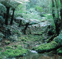 Deua National Park - Melbourne Tourism