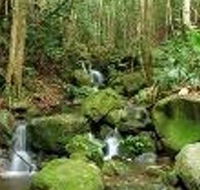 Budderoo National Park - Melbourne Tourism