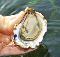 The Oyster Pot - Melbourne Tourism