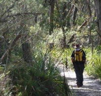 Barren Grounds Nature Reserve - Melbourne Tourism