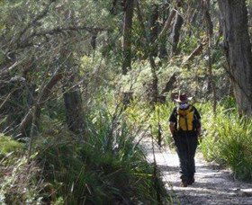 Barren Grounds Nature Reserve - Melbourne Tourism 0