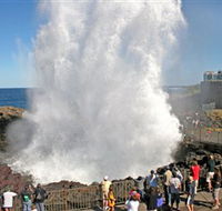 Kiama Blowhole - Melbourne Tourism