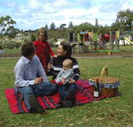 Blackbutt Forest Reserve - Melbourne Tourism