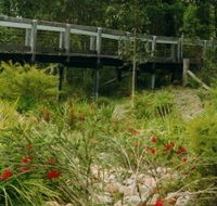 Eurobodalla Botanic Gardens - Melbourne Tourism