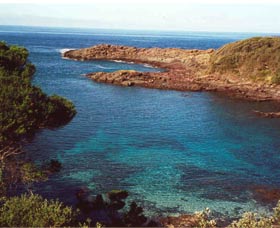 Bass Point Reserve - Melbourne Tourism 0