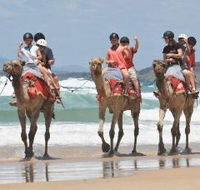 Camel Rides with Coffs Coast Camels - Melbourne Tourism