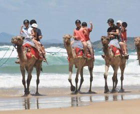 Camel Rides With Coffs Coast Camels - Melbourne Tourism 0