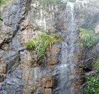 Wedding Bells Forest Drive - Melbourne Tourism