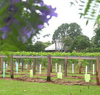 Douglas Vale Historic Homestead  Vineyard - Melbourne Tourism