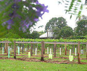Douglas Vale Historic Homestead & Vineyard - Melbourne Tourism 0