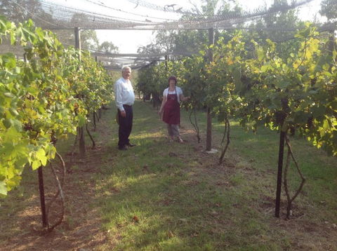 Holland Wines - Melbourne Tourism 8