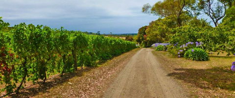 Merricks Estate - Melbourne Tourism 1