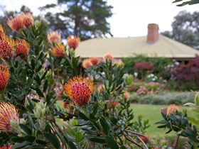 Lavina Wines - Melbourne Tourism 3
