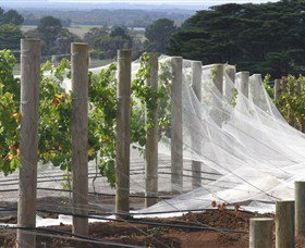 Paradigm Hill - Melbourne Tourism 1