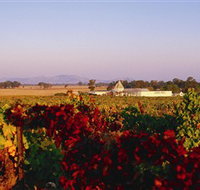 Morris Wines - Melbourne Tourism