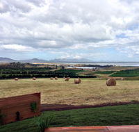 The Hazards Vineyard - Devil's Corner - Melbourne Tourism