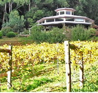 Peveril Vineyard/Beechy Berries - Melbourne Tourism