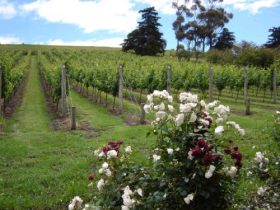 Hobart ACT Melbourne Tourism
