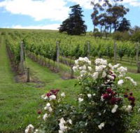 Pembroke Estate Vineyard - Melbourne Tourism