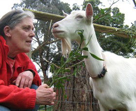 Karmic Goat Soapworks - Melbourne Tourism 2