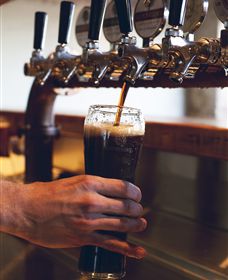 Napoleone Brewery And Ciderhouse - Melbourne Tourism 3