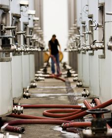 Punt Road Winery - Melbourne Tourism 5