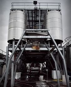 Punt Road Winery - Melbourne Tourism 8