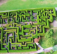Hedgend Maze and Healesville Laser Sport - Melbourne Tourism