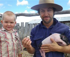 Gleneden Organic Farm And The Gleneden Bullock Team - Melbourne Tourism 2