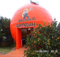 Gayndahs Big Orange - Melbourne Tourism