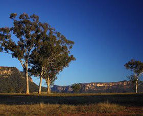 Capertee Valley Bird Trail - Melbourne Tourism 0