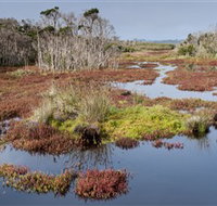 French Island National Park - Melbourne Tourism
