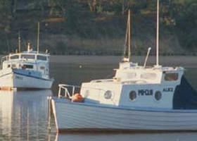 Western Port - Melbourne Tourism 0