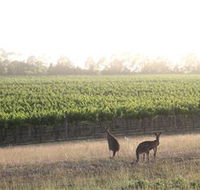 Small Forest Wine - Melbourne Tourism