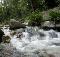 Washpool National Park - Melbourne Tourism
