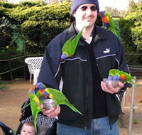 Canberra Walk In Aviary - Melbourne Tourism
