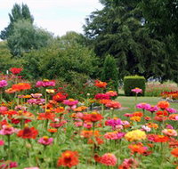 Alma Park - Melbourne Tourism