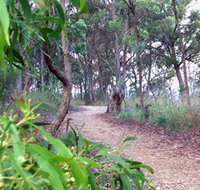 Mount Mutton Walking Trail - Melbourne Tourism