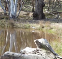 Mulligans Flat - Melbourne Tourism