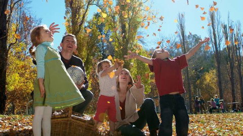 Cotter Avenue Recreation Area - Melbourne Tourism 3